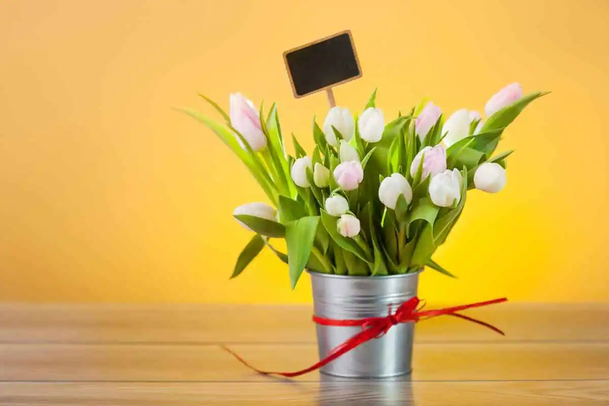 ارزان ترین گل های طبیعی