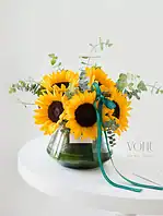 جار گل آفتابگردان