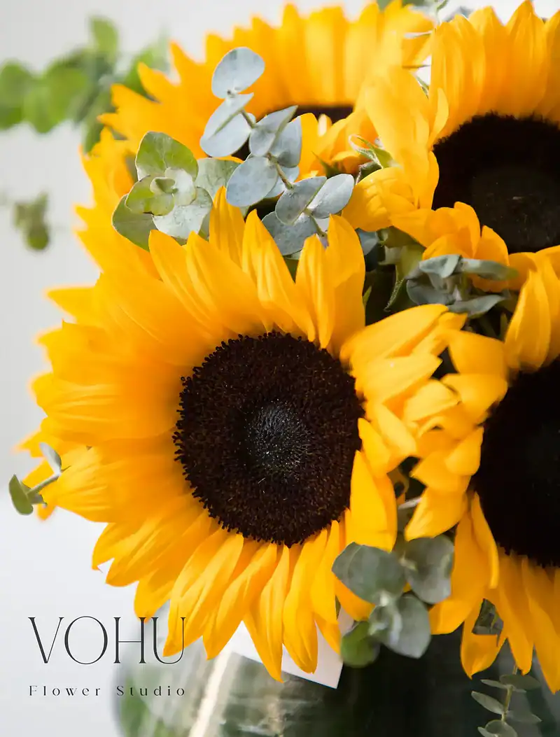 جار گل آفتابگردان - Image 2