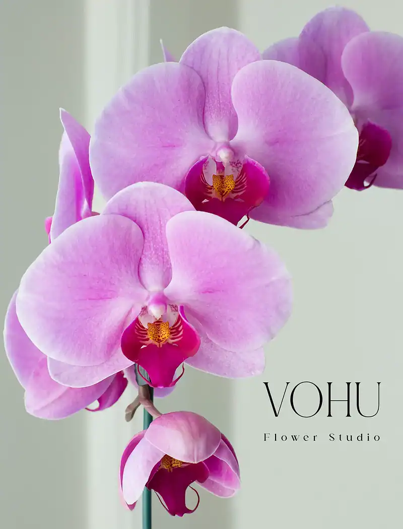 گلدان شیشه ای ارکیده یاسی - Image 2