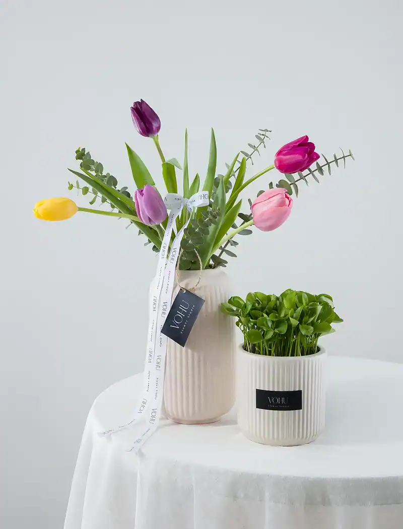 پکیج گل و گلدان لاله و سبزه - Image 1