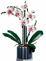 لگو گل ارکیده - Image 4