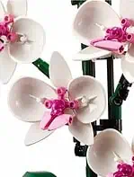 لگو گل ارکیده - Image 5