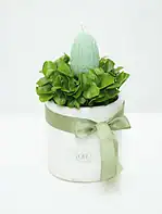 سبزه بهار نارنج همراه شمع