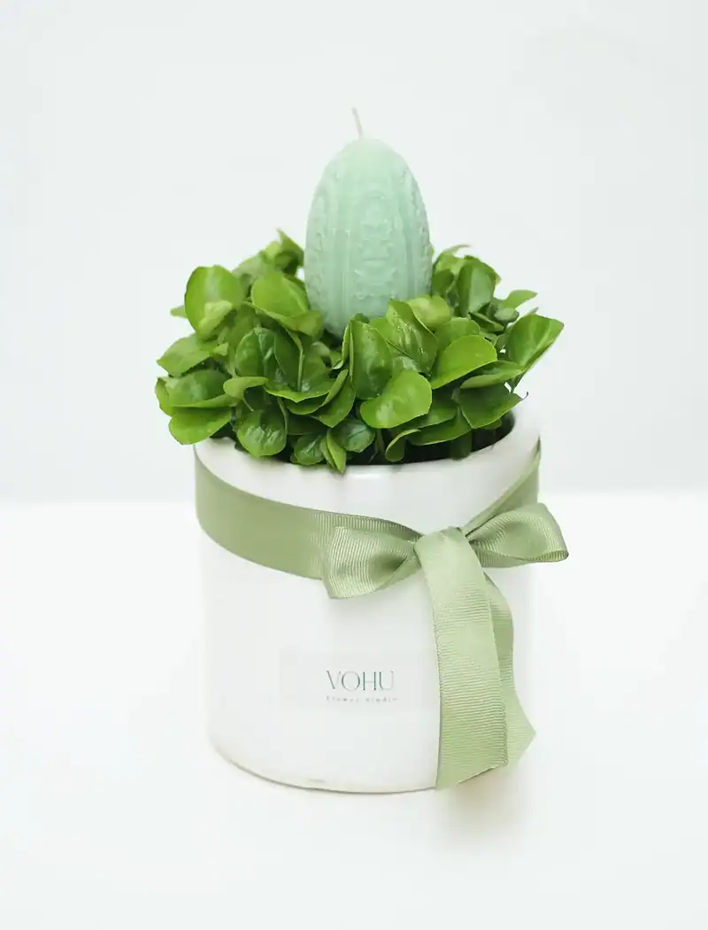 IMG_8116899 سبزه بهار نارنج همراه شمع - Image 1