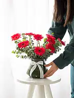 جار گل ژربرا قرمز - Image 2