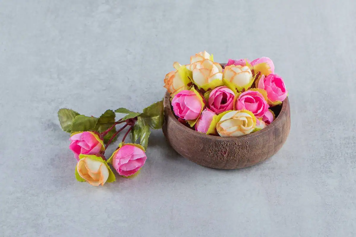 تفاوت رز هلندی با ایرانی در ماندگاری