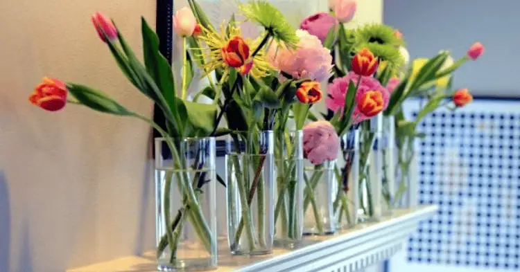 چندین گلدان شیشه ای گل روی میز