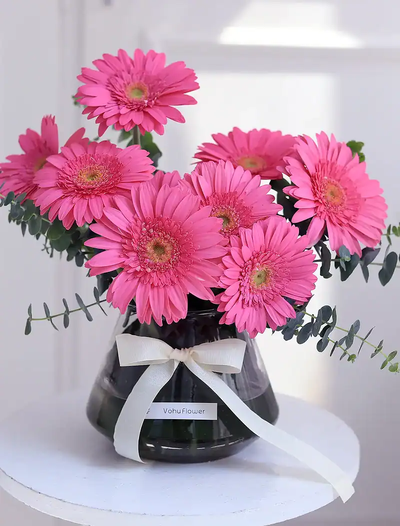 جار گل ژربرا صورتی دلاریس - Image 2