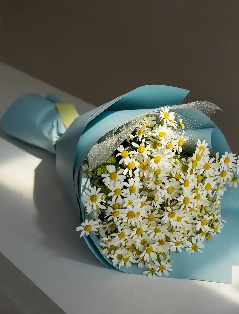 PSX_20240326_144020 دسته گل بابونه ماهلین - Image 1