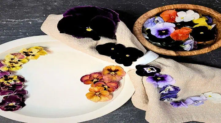 تصاویر غذاهای تزئین‌شده با گل