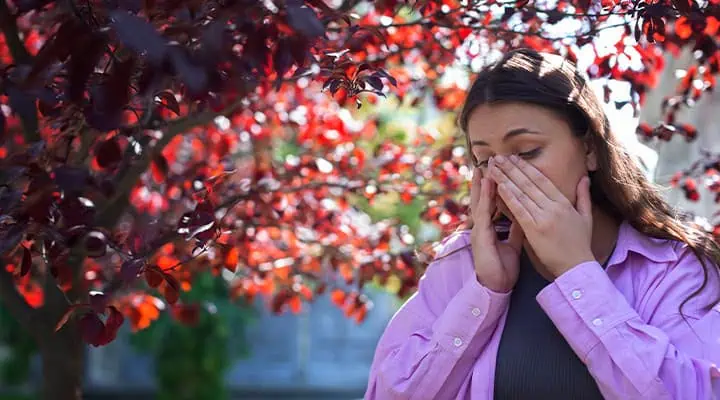 آلرژی به گل