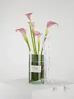 جار گل ۵ شاخه گل شیپوری صورتی هامین