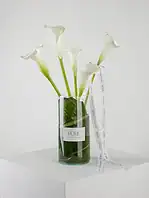 جار گل ۵ شاخه گل شیپوری سفید دلنیا