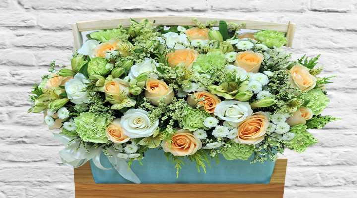 نکات عمومی برای نگهداری انواع گل طبیعی 