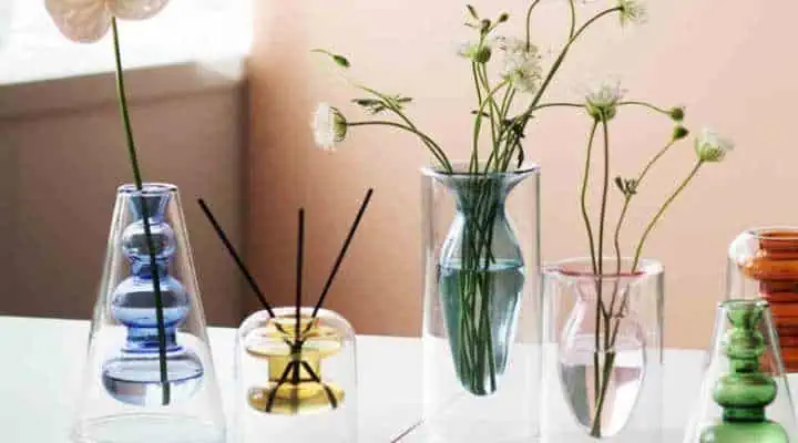 نگهداری گلهای خاص و فصلی