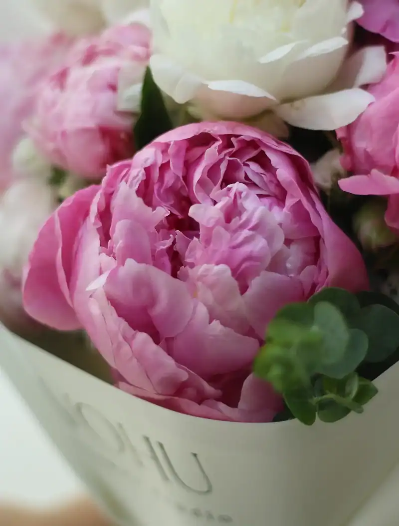 دسته گل ترکیبی پیونی مهرسانا - Image 2