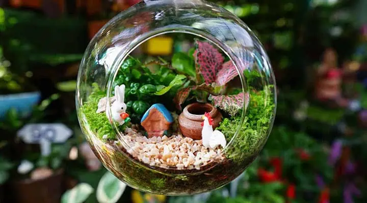 طراحی تراریوم