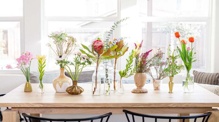 مجموعه‌ای از گل‌های تزئینی آپارتمانی رنگارنگ روی قفسه