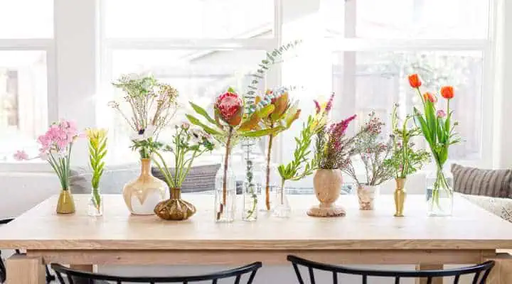 مجموعهای از گلهای تزئینی آپارتمانی رنگارنگ روی قفسه