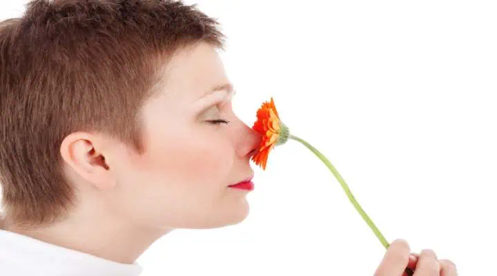 گلهای معطر