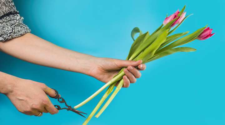 راهکارهایی برای تازه نگه داشتن گل رز و نرگس 