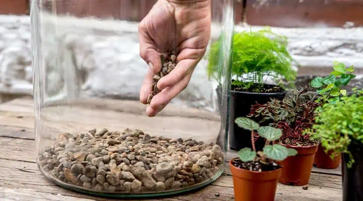 چگونه تراریوم بسازیم؟