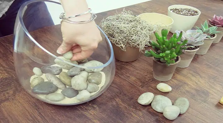 تصویر زهکشی تراریوم