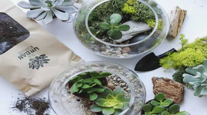 نحوه ساخت تراریوم