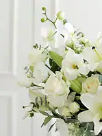 جار گل پرینا - Image 3