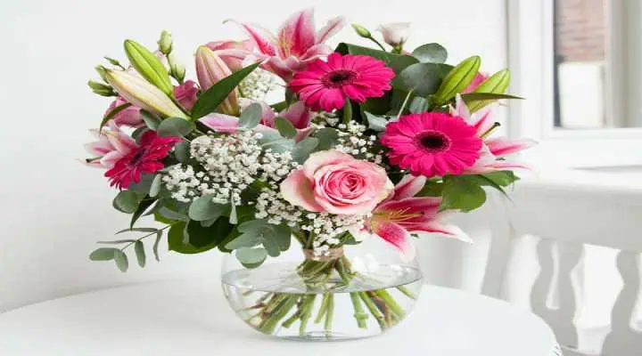 چگونه از گلهای ماشین عروس و مراسم عروسی مراقبت کنیم؟