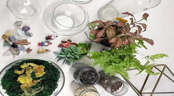 تصویر مراحل ساخت تراریوم