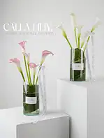 جار گل ۵ شاخه گل شیپوری سفید دلنیا - Image 2