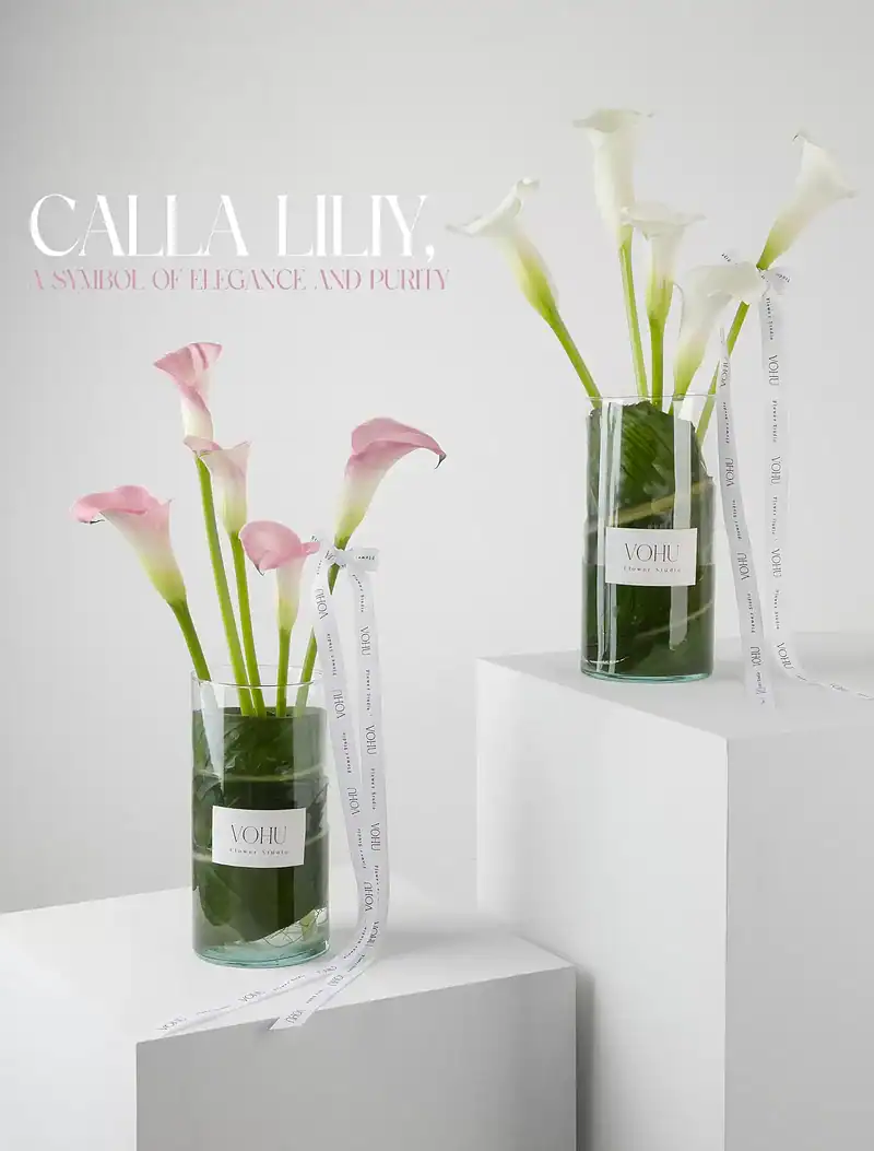 جار گل ۵ شاخه گل شیپوری سفید دلنیا - Image 2