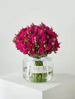 جار گل رز مینیاتوری سرخابی