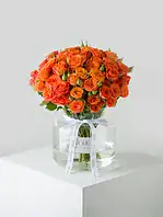 جار گل رز مینیاتوری نارنجی