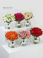 جار گل رز مینیاتوری گلبهی - Image 2