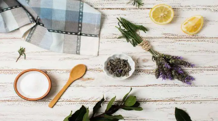 گلهای محبوب در عطرسازی