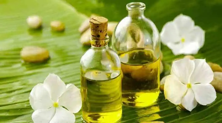 گلهای ایرانی در عطرسازی