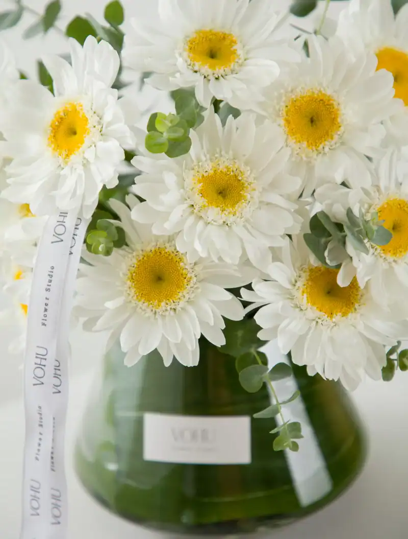 جار گل مارگریت کامیلا - Image 3