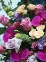 باکس گل افتتاحیه ماتینا - Image 3