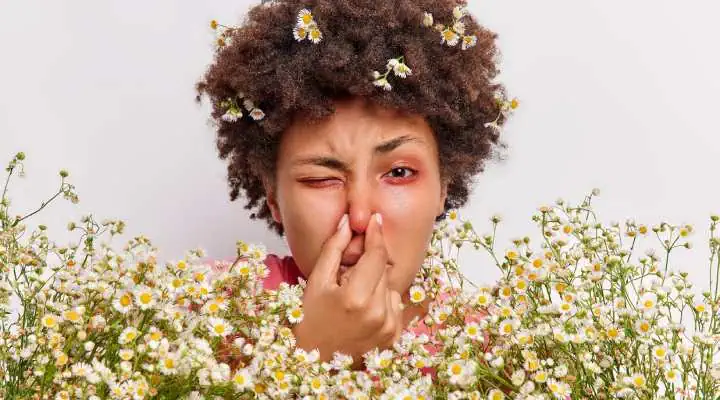 آلرژی به گیاهان