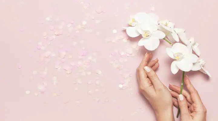 گل ارکیده با گردهافشانی کم برای افراد حساس