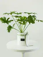 گلدان پلیمری برگ انجیری