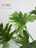 گلدان پلیمری برگ انجیری - Image 2