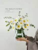 جار گل مارگریت کامیلا - Image 2