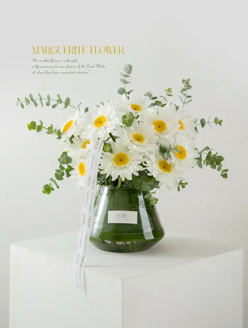 جار گل مارگریت کامیلا - Image 1