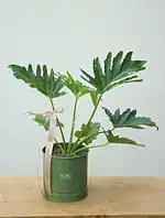 گلدان فلزی برگ انجیری