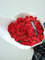 دسته گل رز مینیاتوری قرمز راما - Image 2