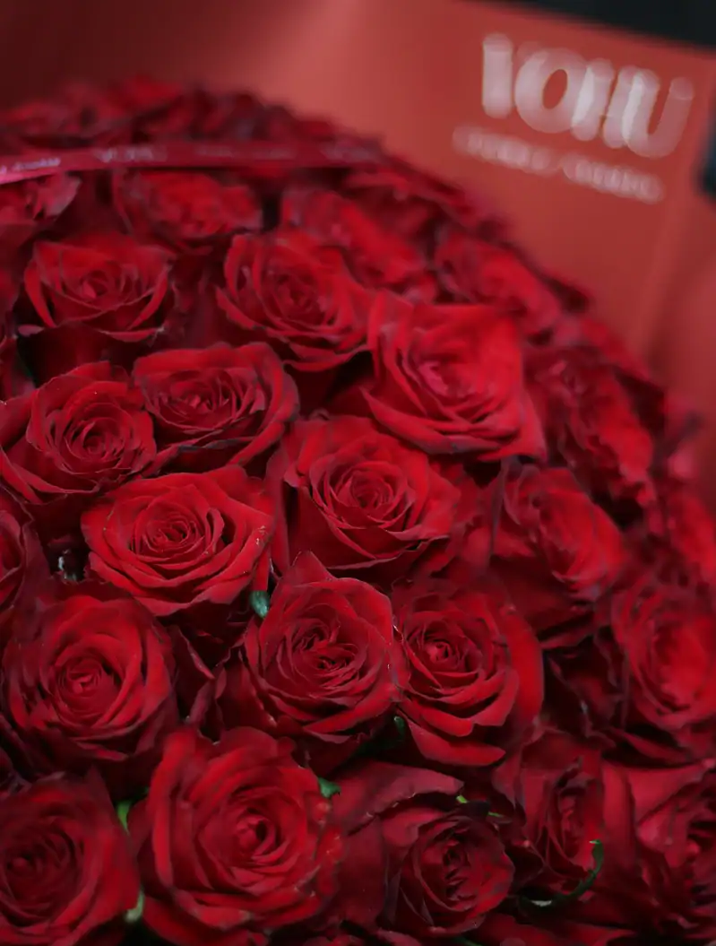 دسته گل 100 شاخه رز قرمز - Image 2